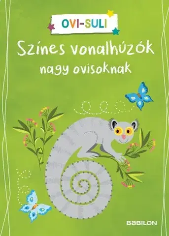 Príprava do školy, pracovné zošity Színes vonalhúzók nagy ovisoknak - Corina Beurenmeister