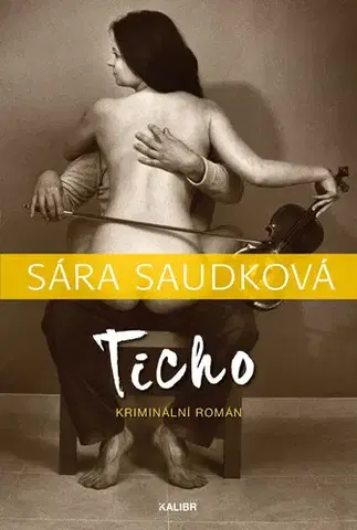 Romantická beletria Ticho - Sára Saudková