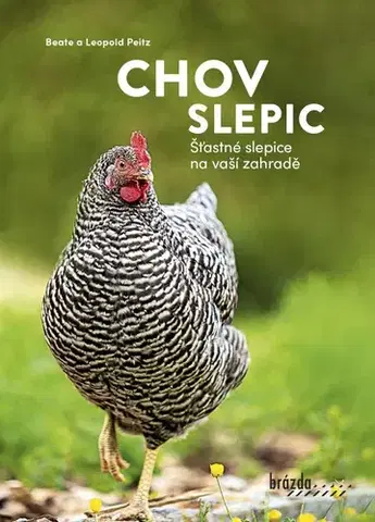 Vtáky, hydina Chov slepic - Beate Peitz,Leopold Peitz