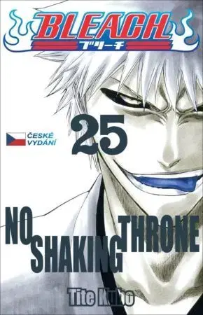 Manga Bleach 25: No Shaking Throne - Kubo Tite