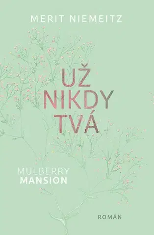 Romantická beletria Už nikdy tvá - Merit Niemeitz