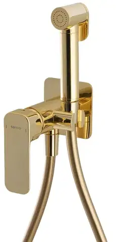 Sprchy a sprchové panely SAPHO PY13/17