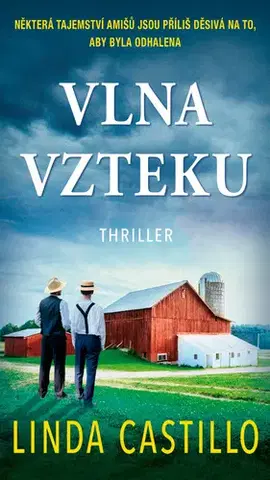 Detektívky, trilery, horory Vlna vzteku - Linda Castillo