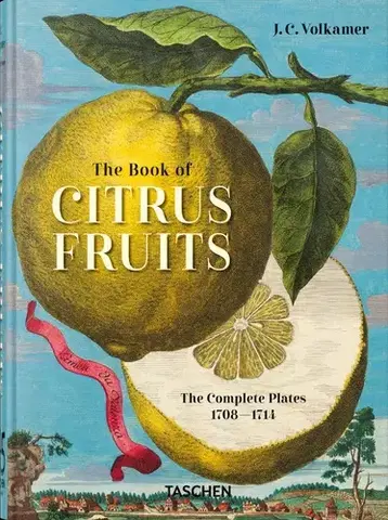 Maliarstvo, grafika J. C. Volkamer. The Book of Citrus Fruits. 45th Ed. - J. C. Volkamer