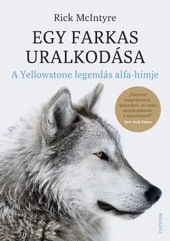 Biológia, fauna a flóra Egy farkas uralkodása - Rick McIntyre
