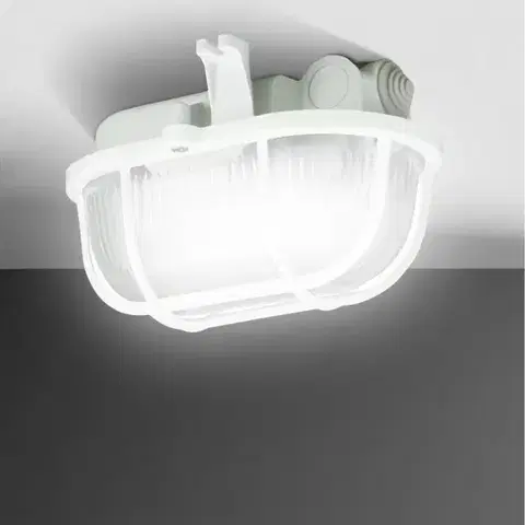 Vonkajšie moderné svietidlá Stropné svietidlo 90046 oválne IP54 60W biele
