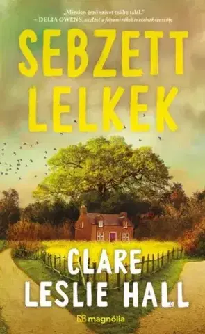 Detektívky, trilery, horory Sebzett lelkek - Clare Leslie Hall