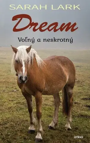 Pre dievčatá Dream 1: Voľný a neskrotný - Sarah Lark