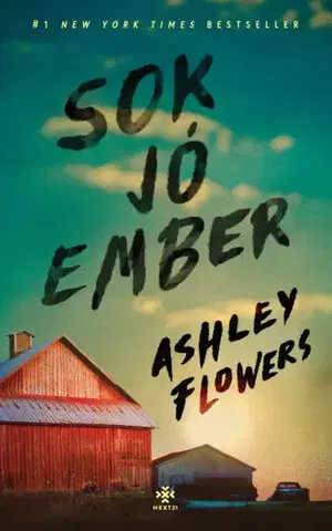 Detektívky, trilery, horory Sok jó ember - Ashley Flowers,Zoltán Pék