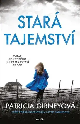 Detektívky, trilery, horory Stará tajemství, 2. vydání - Patricia Gibney