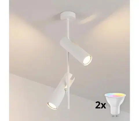 Svietidlá BRILAGI - LED RGBW stmievateľný luster na tyči BRANCH 2xGU10/6,5W/230V biela BG5257+2xAI0589