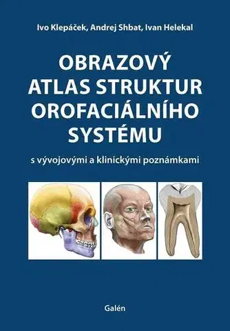 Medicína - ostatné Obrazový atlas struktur orofaciálního systému - Ivo Klepáček,Andrej Shbat,Ivan Helekal
