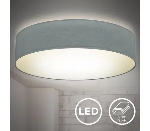 Svietidlá B.K. Licht 1393 - LED Stropné svietidlo LED/20W/230V šedá 1393