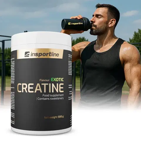 Kreatín Výživový doplnok inSPORTline Kreatin 500g exotic