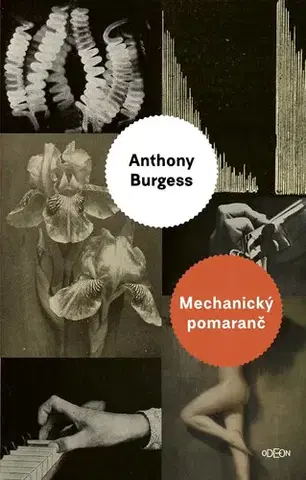 Svetová beletria Mechanický pomaranč - Anthony Burgess