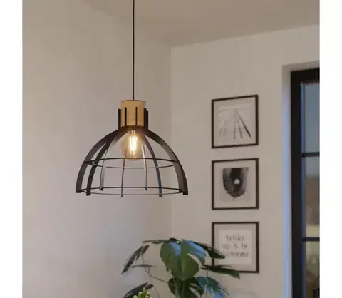 Svietidlá Eglo 43769 - Luster na lanku STILLINGTON 1xE27/40W/230V čierna 43769