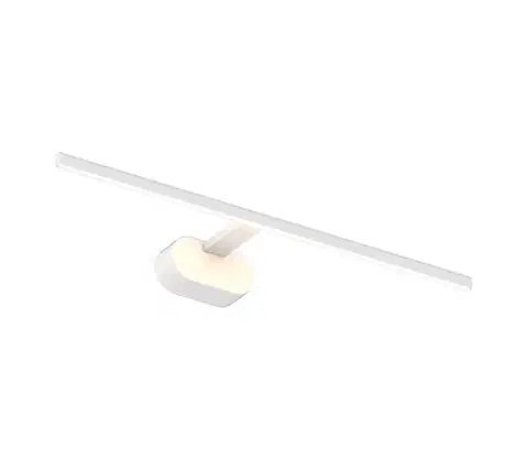 Svietidlá  LED Obrazové svietidlo PRADO LED/11W/230V biela ML1003