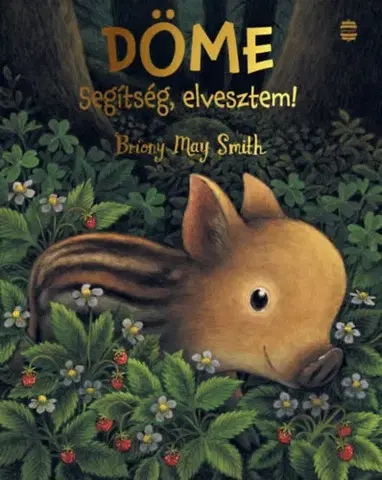 Rozprávky Döme - Segítség, elvesztem! - Briony May Smith,Erényi Mónika