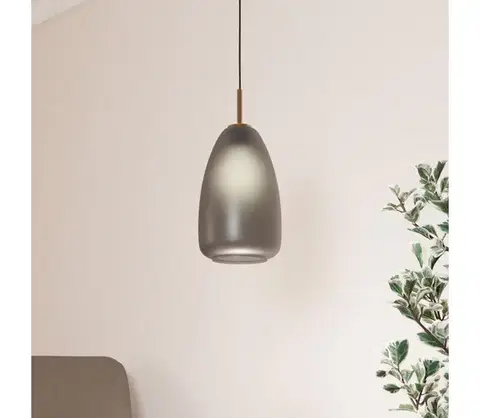 Svietidlá Eglo 900506 - Luster na lanku ALOBRASE 1xE27/40W/230V 900506