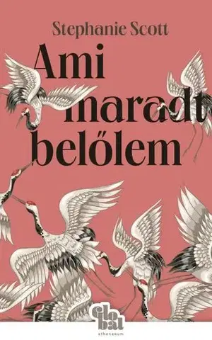 Svetová beletria Ami maradt belőlem - Stephanie Scottová,Imre Bartók
