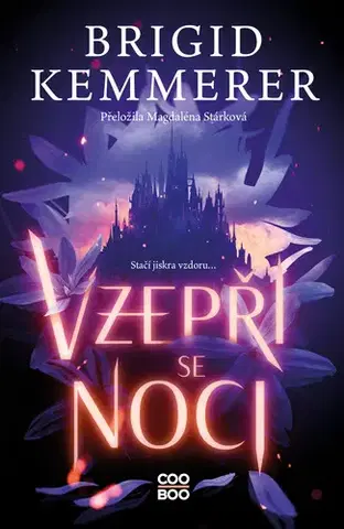 Young adults Vzepři se noci - Brigid Kemmerer