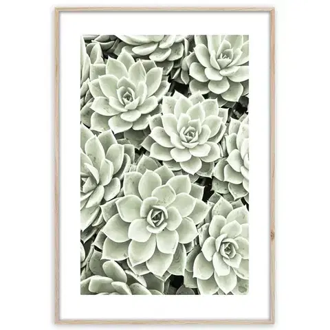 Dekorácie a bytové doplnky Artbox Digi 50x70 Br009 Succulents