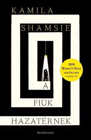 Svetová beletria A fiúk hazatérnek - Kamila Shamsie