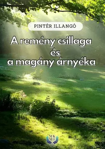 Svetová beletria A remény csillaga és a magány árnyéka - Pintér Illangó