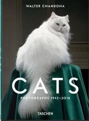 Fotografia Walter Chandoha. Cats. Photographs 1942-2018 - Susan Michals