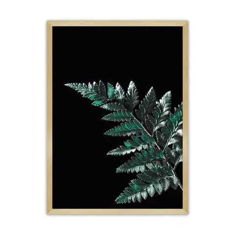 Obrazy Plagát Dark Leaf