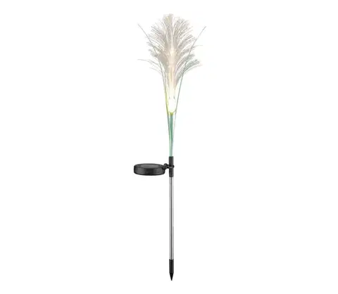 LED osvetlenie  LED Solárne svietidlo GRASS LED/1,2V 3000K 600 mAh IP44 čierna 329448