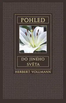 Ezoterika - ostatné Pohled do jiného světa - Herbert Vollmann