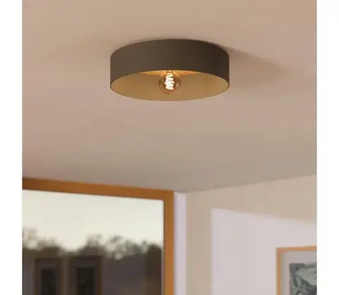 Svietidlá Eglo 901745 - Stropné svietidlo DUAIA 1xE27/40W/230V šedá 901745