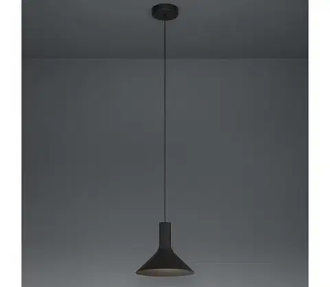 Svietidlá Eglo 390218 - Luster na lanku MORESCANA 1xE27/28W/230V čierna 390218
