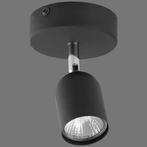 Lampy do obývačky Bodové svietidlo Top CZ 3298 K1
