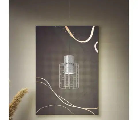 Svietidlá Eglo 43647 - Luster na lanku MILLIGAN 1xE27/40W/230V pr. 20 cm strieborná 43647