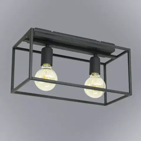 Lampy do obývačky Luster Horus 2865/Z-B-2 PL2