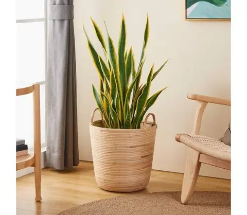 Taburetky Eglo 426513 - Dekoračný kôš NARAHA 41x36 cm ratan 426513