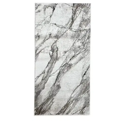 Moderné koberce Koberec Proxima 0,8/1,5 A478A PYT66 0173