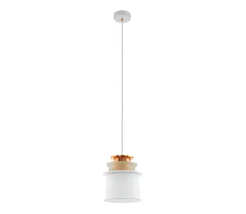 Svietidlá Eglo 96873 - Závesné svietidlo SCAZON 1xE27/60W/230W 96873