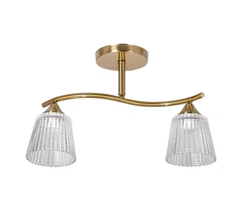 Svietidlá  Luster na tyči 2xE14/60W/230V zlatá W-N6580/2