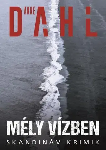 Detektívky, trilery, horory Mély vízben - Arne Dahl,Ádám Szieberth