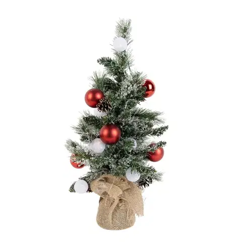 Svetelné reťaze do interiéru Vianočný stromček biely s červenou farbou 60 cm vrátane LED s časovačom - Jack