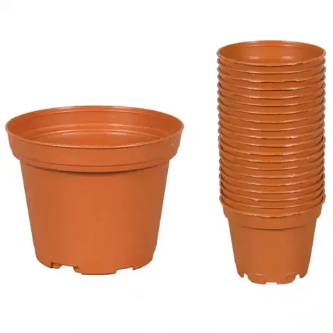 Záhrada Obal classic tod d6cm 20ks