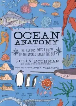 Biológia, fauna a flóra Ocean Anatomy - Julia Rothman