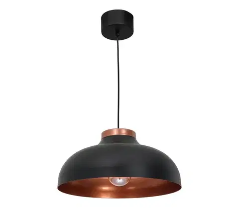 Svietidlá  Luster na lanku BASCA 1xE27/60W/230V 1735