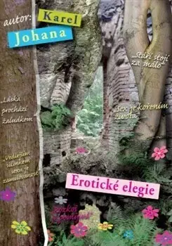 Česká beletria Erotické elegie - Karel Johana