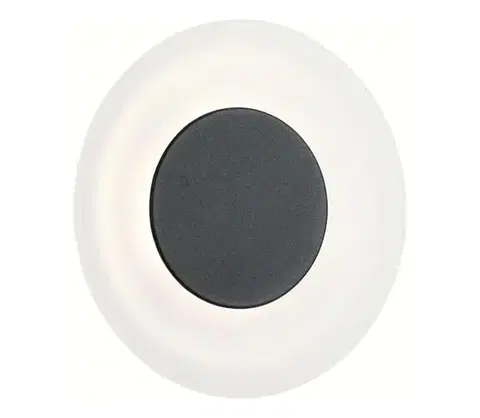 Svietidlá Paulmann 94409 - LED/4W IP44 Vonkajšie nástenné svietidlo CIRCEA 230V 94409