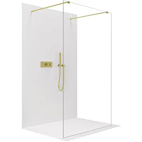 Sprchové dvere CERANO - Sprchová zástena Walk-in Onyx Duo Ľ/P - 8 mm - hranatá vzpera - zlatá, transparentné sklo - 60x200 CER-8050BD1791