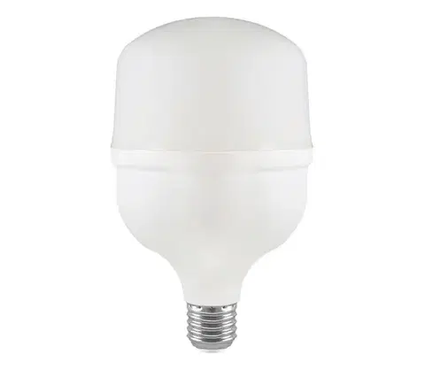 LED osvetlenie  LED žiarovka T100 E27, 30 W, 230 V, 6500 K 23571